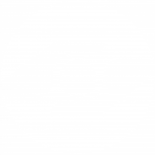 logo con nome bianco